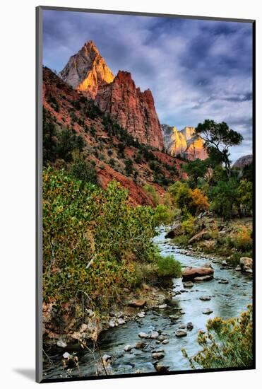 Virgin River Morning View, Zion National Park, Utah-Vincent James-Mounted Photographic Print