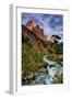 Virgin River Morning View, Zion National Park, Utah-Vincent James-Framed Premium Photographic Print