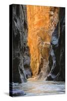 Virgin River Narrows, Zion National Park, Utah, United States of America, North America-Gary-Stretched Canvas