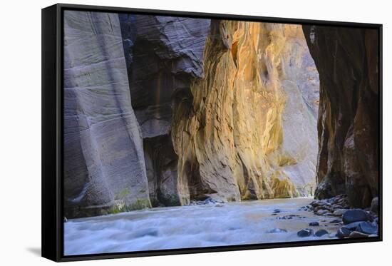 Virgin River Narrows, Zion National Park, Utah, United States of America, North America-Gary-Framed Stretched Canvas