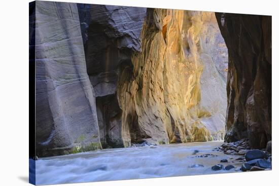 Virgin River Narrows, Zion National Park, Utah, United States of America, North America-Gary-Stretched Canvas