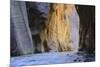 Virgin River Narrows, Zion National Park, Utah, United States of America, North America-Gary-Mounted Photographic Print