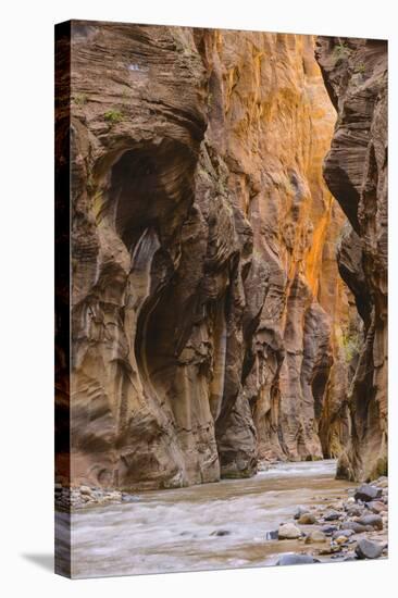 Virgin River Narrows, Zion National Park, Utah, United States of America, North America-Gary-Stretched Canvas