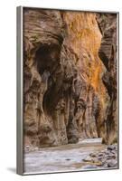 Virgin River Narrows, Zion National Park, Utah, United States of America, North America-Gary-Framed Photographic Print