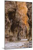 Virgin River Narrows, Zion National Park, Utah, United States of America, North America-Gary-Mounted Photographic Print