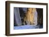 Virgin River Narrows, Zion National Park, Utah, United States of America, North America-Gary-Framed Photographic Print