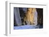 Virgin River Narrows, Zion National Park, Utah, United States of America, North America-Gary-Framed Photographic Print