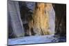 Virgin River Narrows, Zion National Park, Utah, United States of America, North America-Gary-Mounted Photographic Print