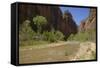 Virgin River, Zion National Park, Utah, United States of America, North America-Gary-Framed Stretched Canvas
