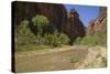 Virgin River, Zion National Park, Utah, United States of America, North America-Gary-Stretched Canvas