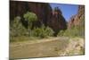 Virgin River, Zion National Park, Utah, United States of America, North America-Gary-Mounted Photographic Print