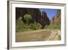 Virgin River, Zion National Park, Utah, United States of America, North America-Gary-Framed Photographic Print