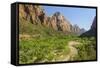 Virgin River, Zion National Park, Utah, United States of America, North America-Gary-Framed Stretched Canvas