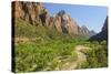 Virgin River, Zion National Park, Utah, United States of America, North America-Gary-Stretched Canvas