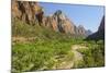 Virgin River, Zion National Park, Utah, United States of America, North America-Gary-Mounted Photographic Print