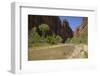 Virgin River, Zion National Park, Utah, United States of America, North America-Gary-Framed Photographic Print