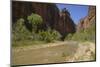 Virgin River, Zion National Park, Utah, United States of America, North America-Gary-Mounted Photographic Print