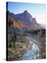 Virgin River, Zion National Park, Utah, USA-Walter Bibikow-Stretched Canvas
