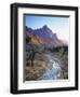 Virgin River, Zion National Park, Utah, USA-Walter Bibikow-Framed Photographic Print