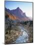 Virgin River, Zion National Park, Utah, USA-Walter Bibikow-Mounted Photographic Print