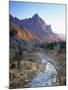 Virgin River, Zion National Park, Utah, USA-Walter Bibikow-Mounted Photographic Print