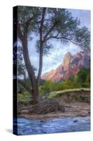 Virgin Riverside Landscape, Zion National Park-Vincent James-Stretched Canvas