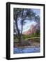 Virgin Riverside Landscape, Zion National Park-Vincent James-Framed Photographic Print