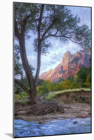 Virgin Riverside Landscape, Zion National Park-Vincent James-Mounted Photographic Print