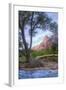 Virgin Riverside Landscape, Zion National Park-Vincent James-Framed Photographic Print