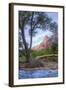 Virgin Riverside Landscape, Zion National Park-Vincent James-Framed Photographic Print