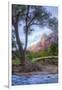 Virgin Riverside Landscape, Zion National Park-Vincent James-Framed Photographic Print