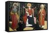 Virgin with Child Between St James and Bishop-Enguerrand Quarton-Framed Stretched Canvas