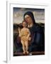 Virgin with Child (Contarini Madonna)-Giovanni Bellini-Framed Art Print