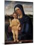 Virgin with Child (Contarini Madonna)-Giovanni Bellini-Mounted Art Print