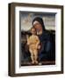 Virgin with Child (Contarini Madonna)-Giovanni Bellini-Framed Art Print