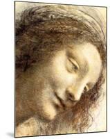 Virgin-Leonardo da Vinci-Mounted Giclee Print