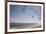 Virginia Beach, Virginia. Flock of Seagulls Fly over a Beach-Jolly Sienda-Framed Premium Photographic Print