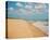 Virginia Beach-Myan Soffia-Stretched Canvas