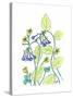 Virginia Bluebells-Beverly Dyer-Stretched Canvas