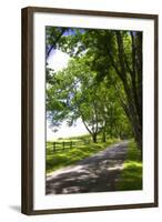 Virginia Byways I-Alan Hausenflock-Framed Photographic Print