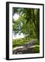 Virginia Byways I-Alan Hausenflock-Framed Photographic Print