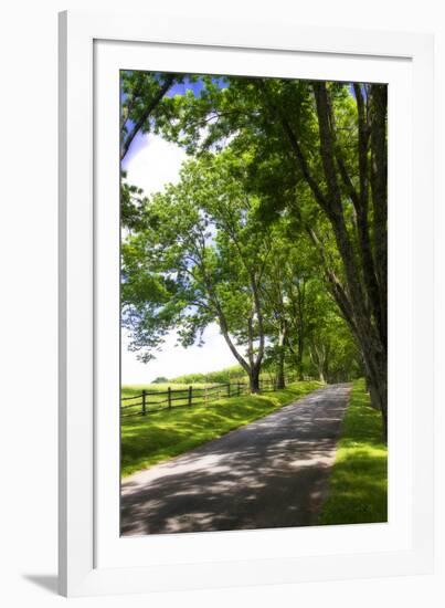 Virginia Byways I-Alan Hausenflock-Framed Photographic Print