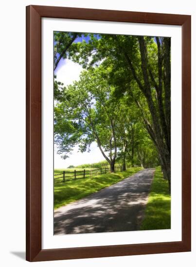 Virginia Byways I-Alan Hausenflock-Framed Photographic Print