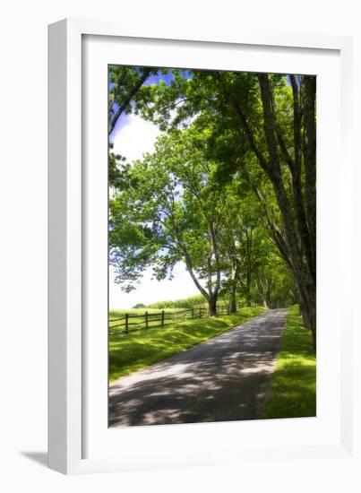 Virginia Byways I-Alan Hausenflock-Framed Photographic Print