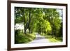 Virginia Byways IV-Alan Hausenflock-Framed Photographic Print