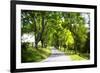 Virginia Byways IV-Alan Hausenflock-Framed Photographic Print