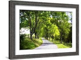 Virginia Byways IV-Alan Hausenflock-Framed Photographic Print