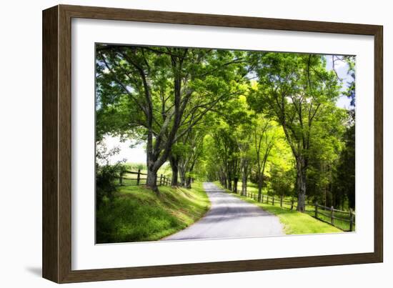 Virginia Byways IV-Alan Hausenflock-Framed Photographic Print