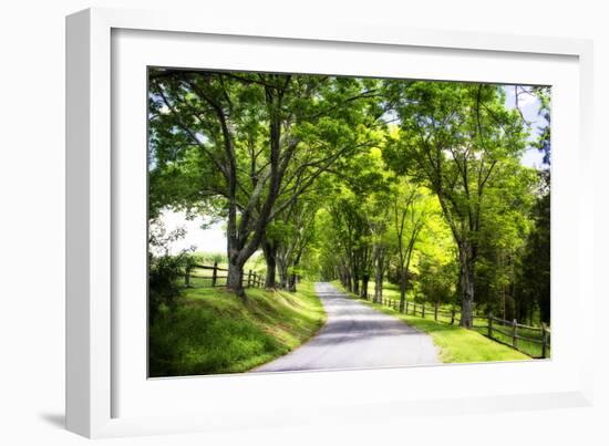 Virginia Byways IV-Alan Hausenflock-Framed Photographic Print