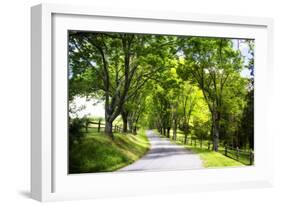 Virginia Byways IV-Alan Hausenflock-Framed Photographic Print